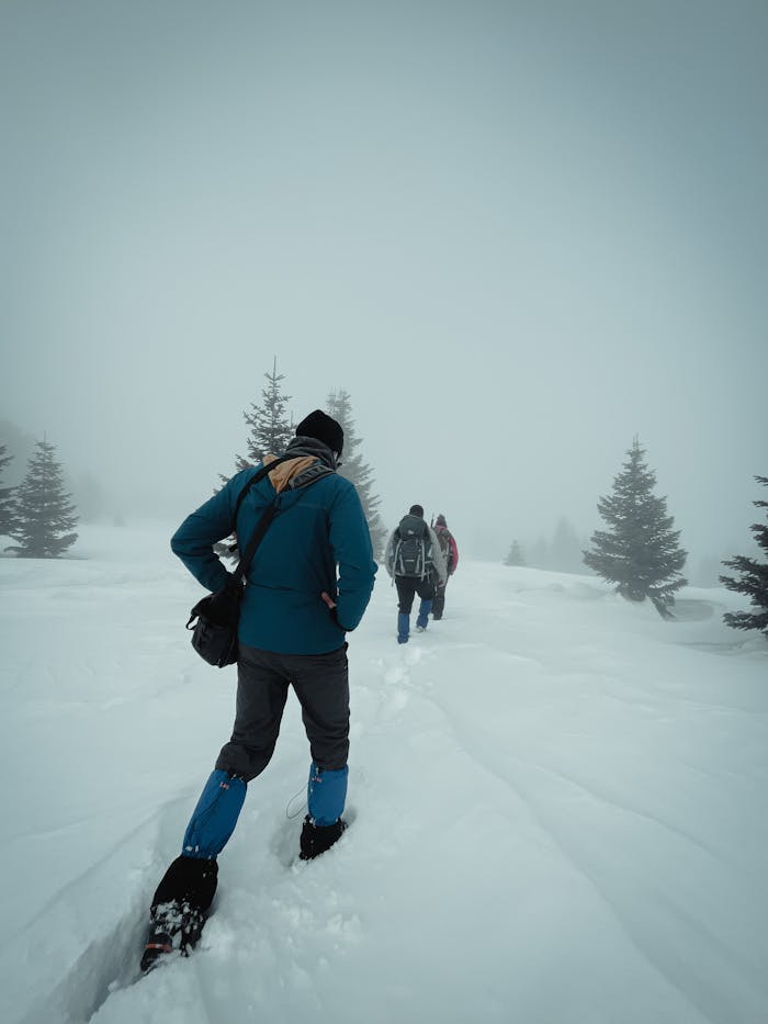 services-04 Group of hikers trekking through snow-covered forest in winter mist.